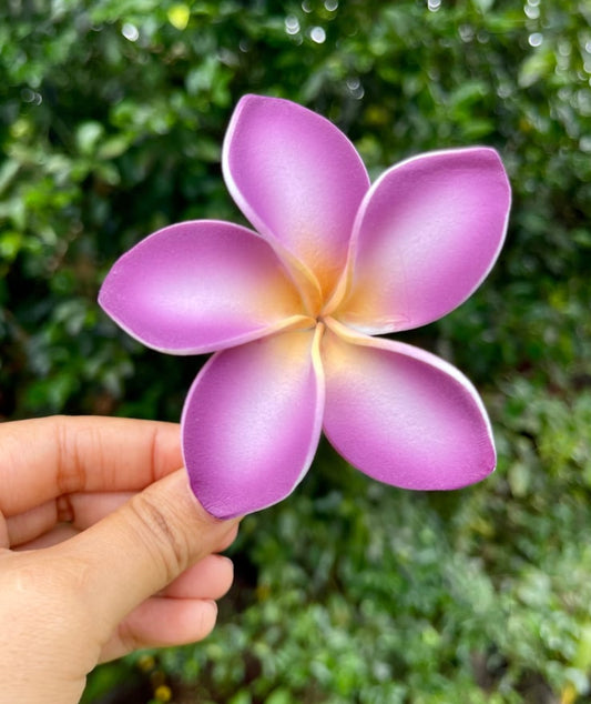 Purple Plumeria