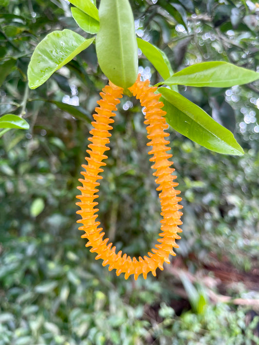 Dainty Puakenikeni Stretch Bracelet