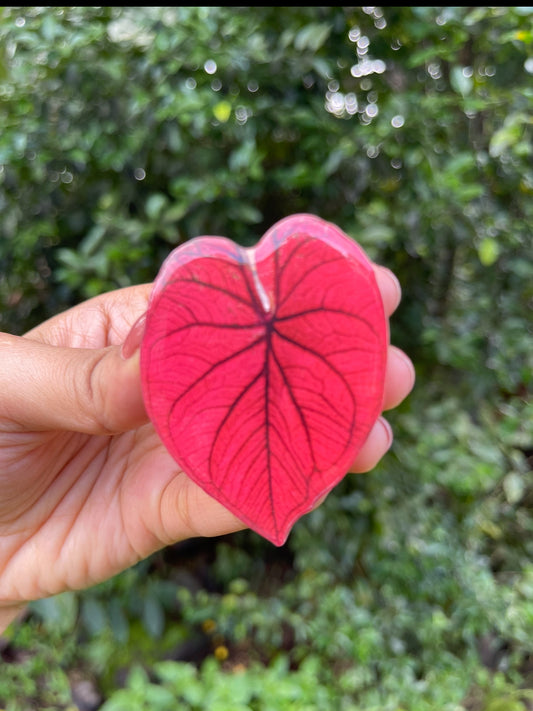 Red Leaf Pop Socket